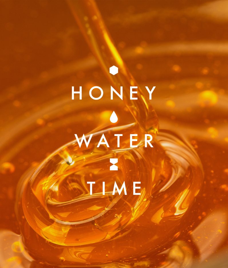 GOSNELLS Honey closeup